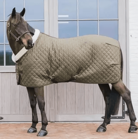 Hovedbilde Kentucky Show Rug 160g