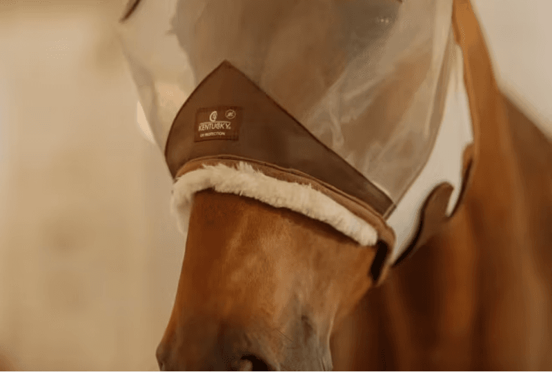 Kentucky Fly Mask Skin Friendly w/ears