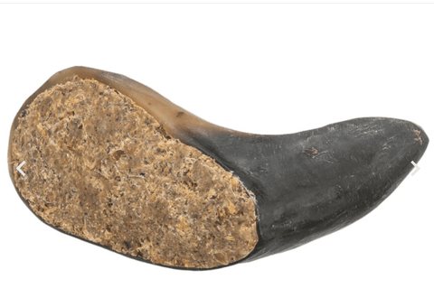 Hovedbilde Trixie Buffalo Horn m/Fyll